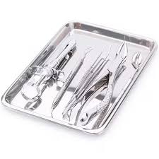 Bandeja Lisa Inox 22x17cm