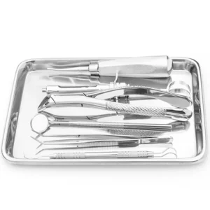 Bandeja Lisa Inox 22x17cm
