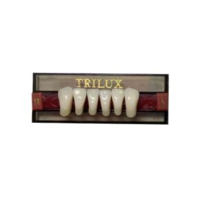 dente-trilux-anterior-inferior.jpg