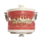 Manequim Top Materiais PD101 - ProNew