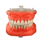 Manequim Top Macromodelo PD 112 - Pronew