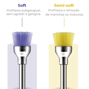 Escova de Robinson Color-Brush Taça CA - American Burrs