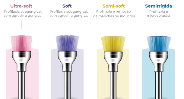 Escova de Robinson Color-Brush Taça CA - American Burrs