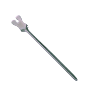 tentacanula