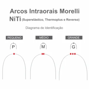 Arcos Niti morelli