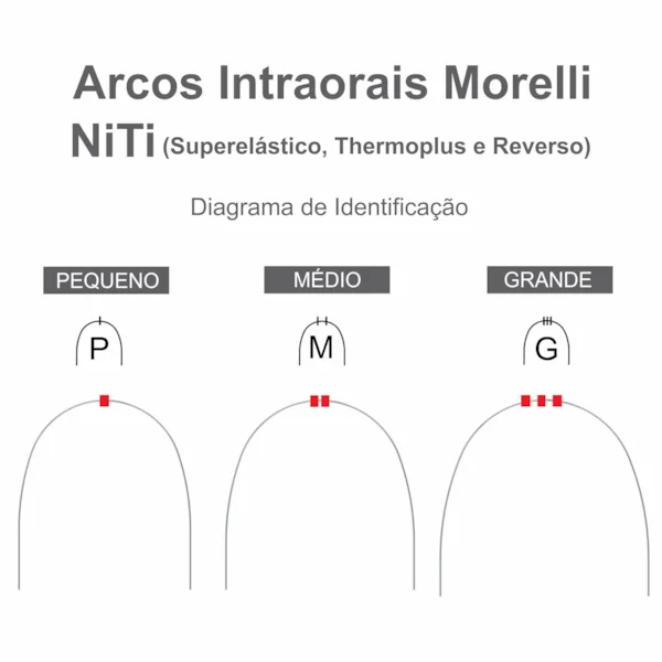 Arcos Niti morelli
